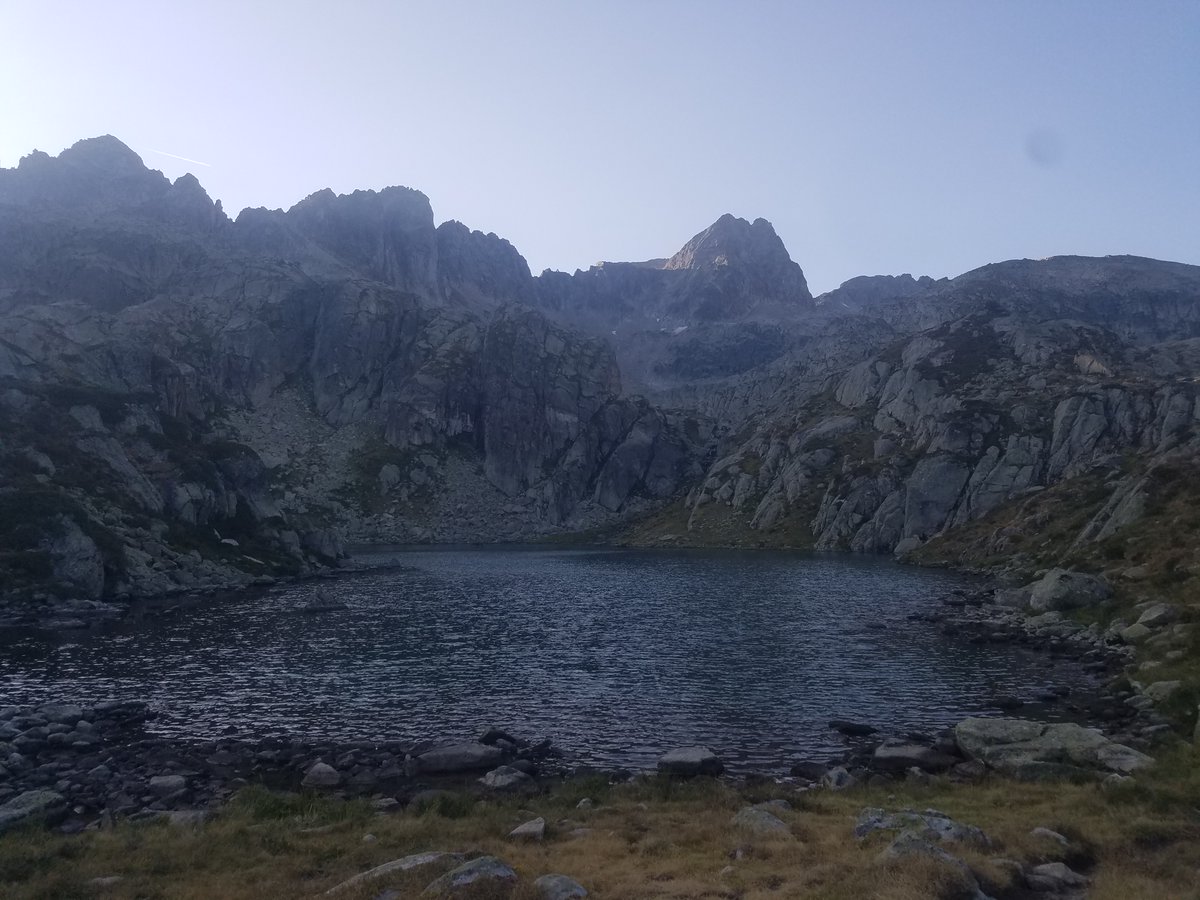 Axelle ᛉ tweet media