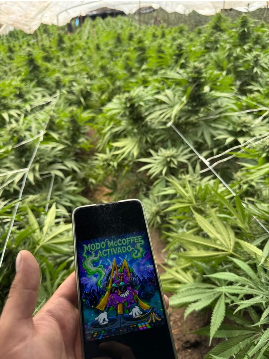 McCoffee710 tweet media