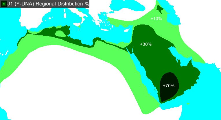 scarface tweet media