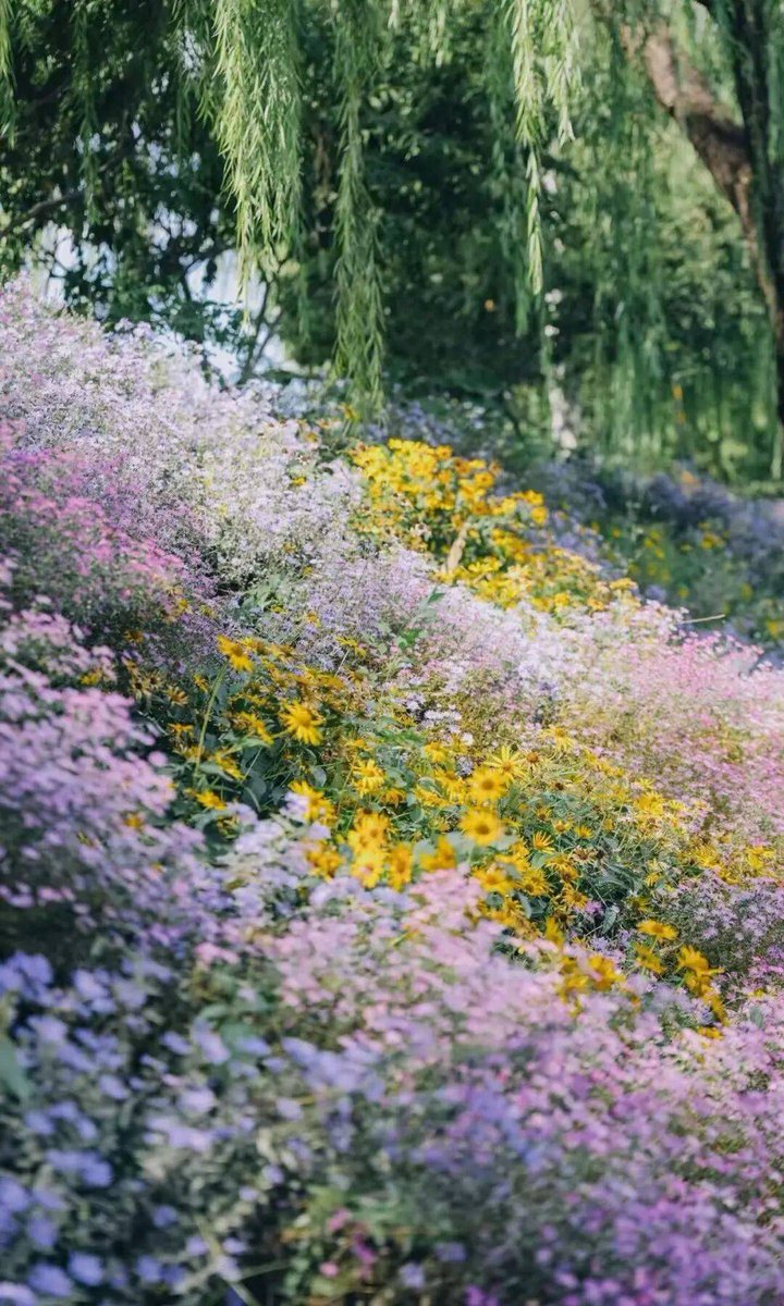 malin renate tweet media