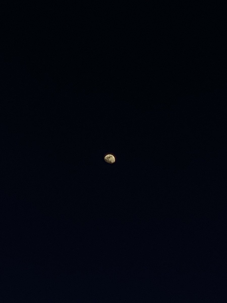 Shamso 🌧️ tweet media