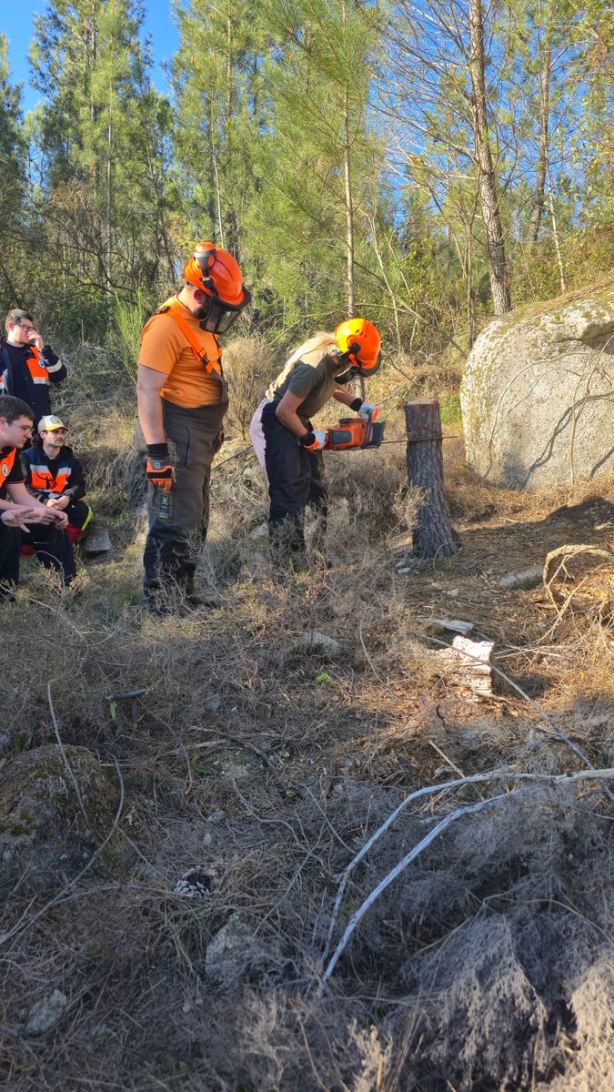 OVoluntariadoPCOurense tweet media