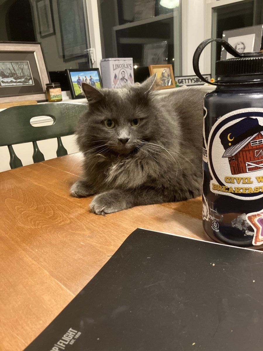 Civil War Breakfast Club Podcast tweet media