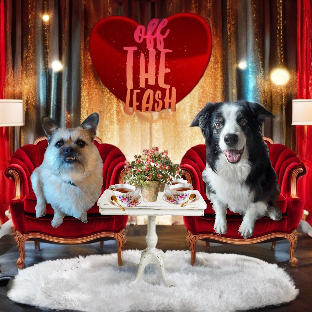 Pixie Tooth 🌈💔 tweet media