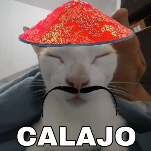 ✨ Davesno | COMMISSIONS OPEN ✨ tweet media