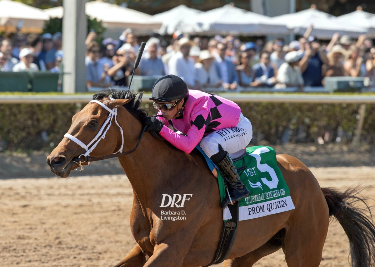 DailyRacingForm's tweet photo. 👀👀Some great shots of Prom Queen winning the G2 Gulfstream Park Oaks for @bradcoxracing with @jjcjockey aboard. 

📷 Barbara D. Livingston @DRFLivingston https://t.co/Lnm5e8JrCD