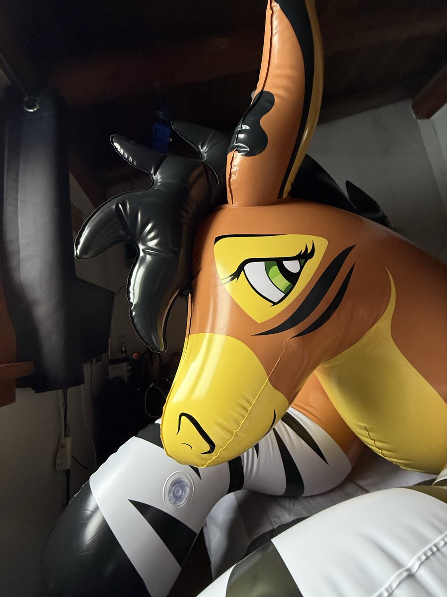 Nøurs 🧸⚡️🐻 tweet media