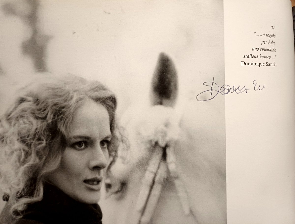 𓅓Kyos • #морутопия tweet media