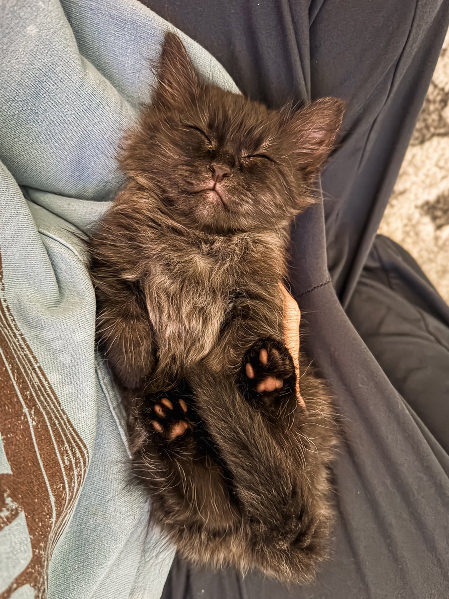 Jordan Crowder tweet media