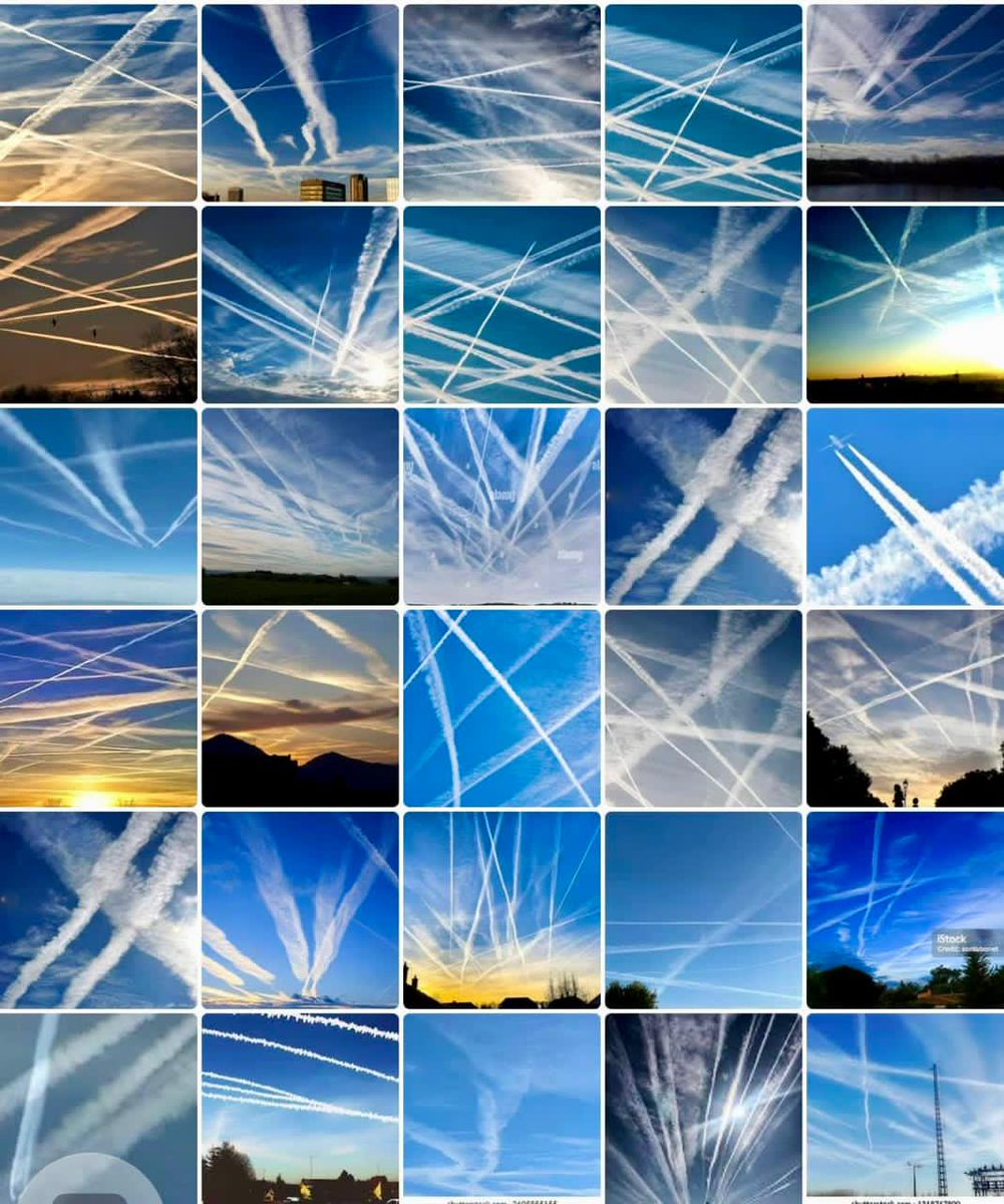 ThePugFather tweet media