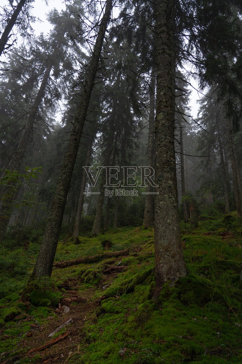 Sarvesh Kumar tweet media