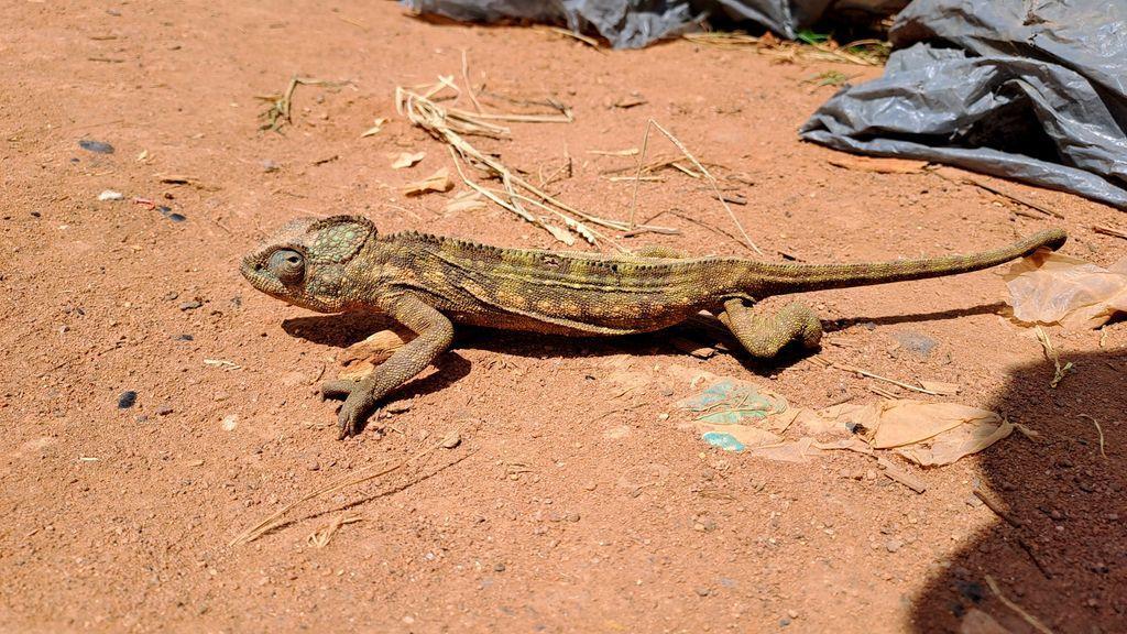 Ted Johnson - Half-Hearted Fanatic tweet media