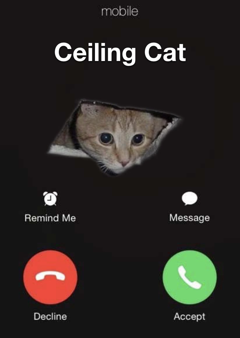 Luke (no ceiling mode) tweet media