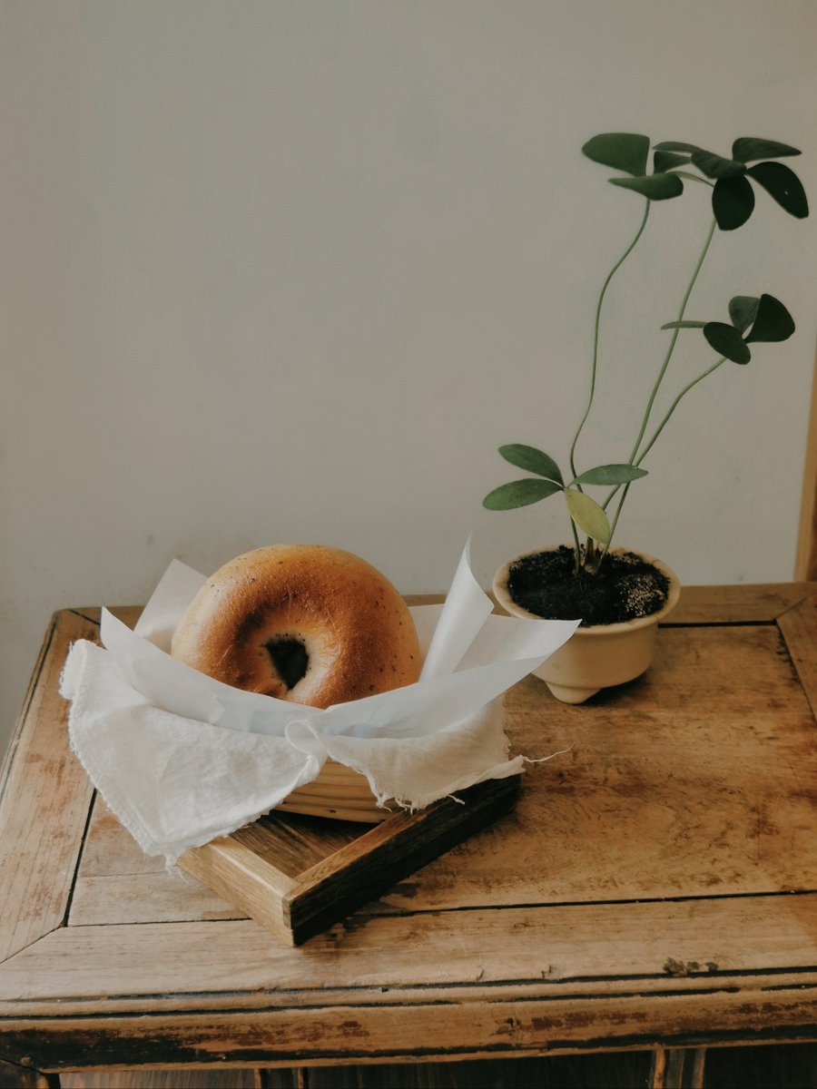 Courtney Elizabeth tweet media