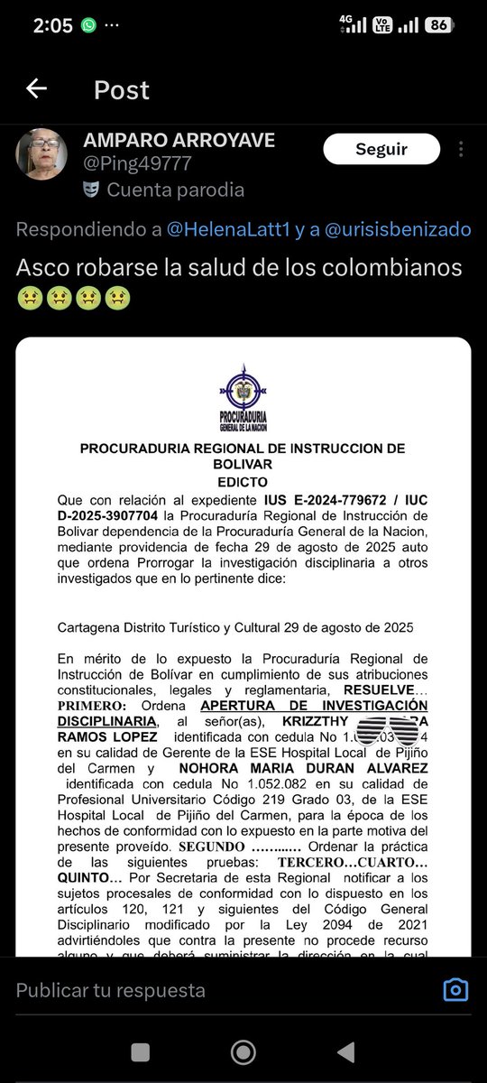 Abejorro de Combate tweet media