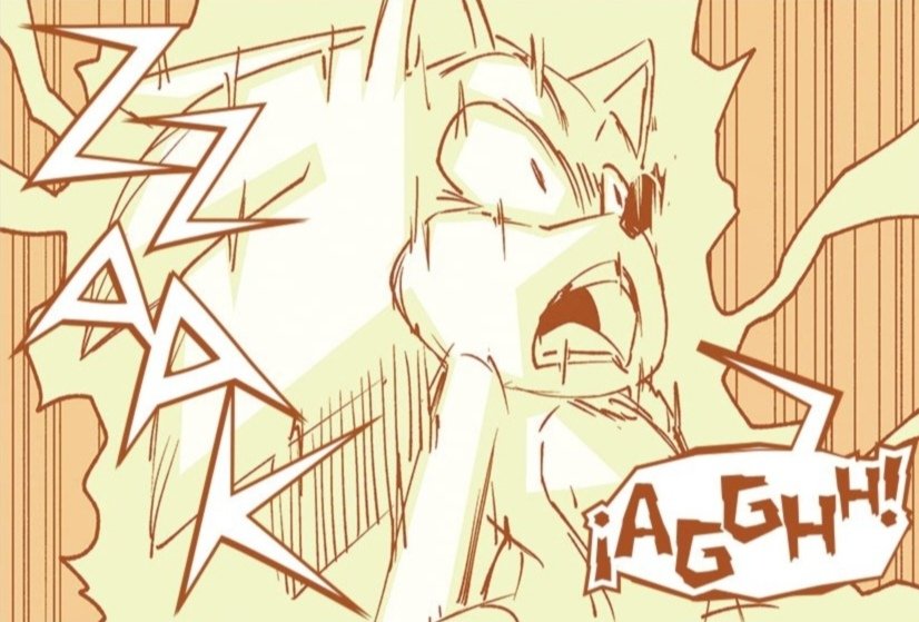 Sun Zone ☀️ tweet media