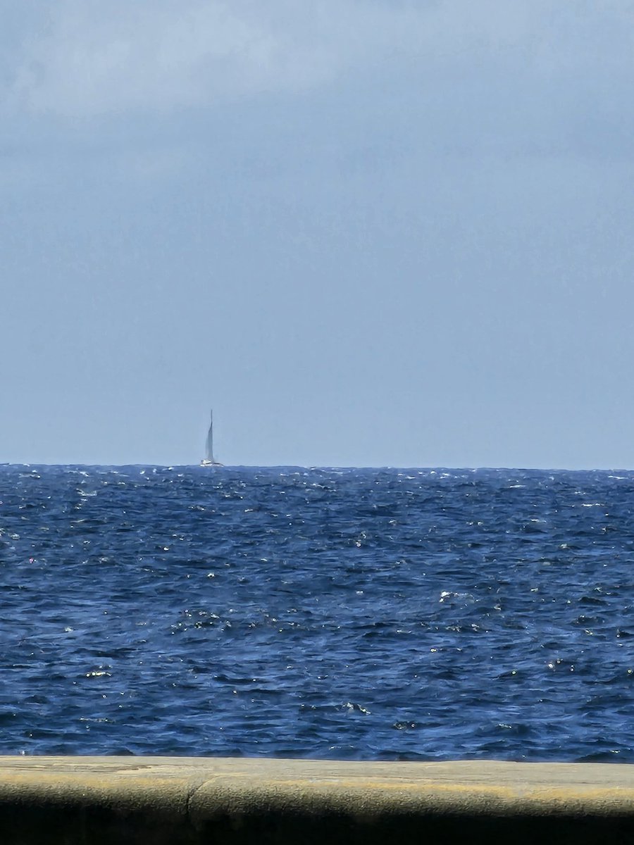 Tere Felipe tweet media