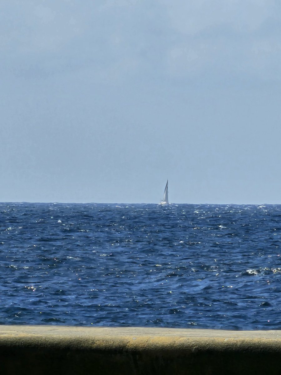 Tere Felipe tweet media