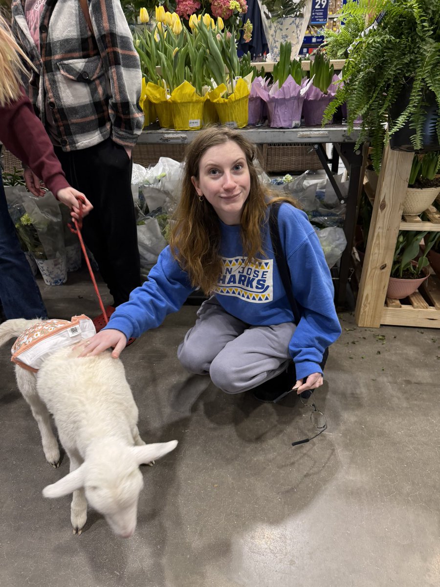 sadie pants + murphy tweet media