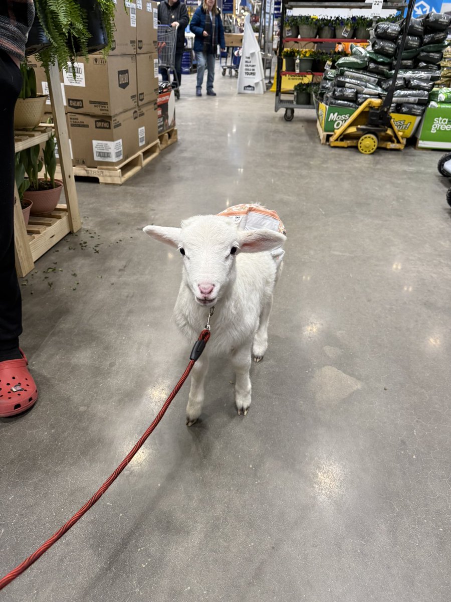 sadie pants + murphy tweet media