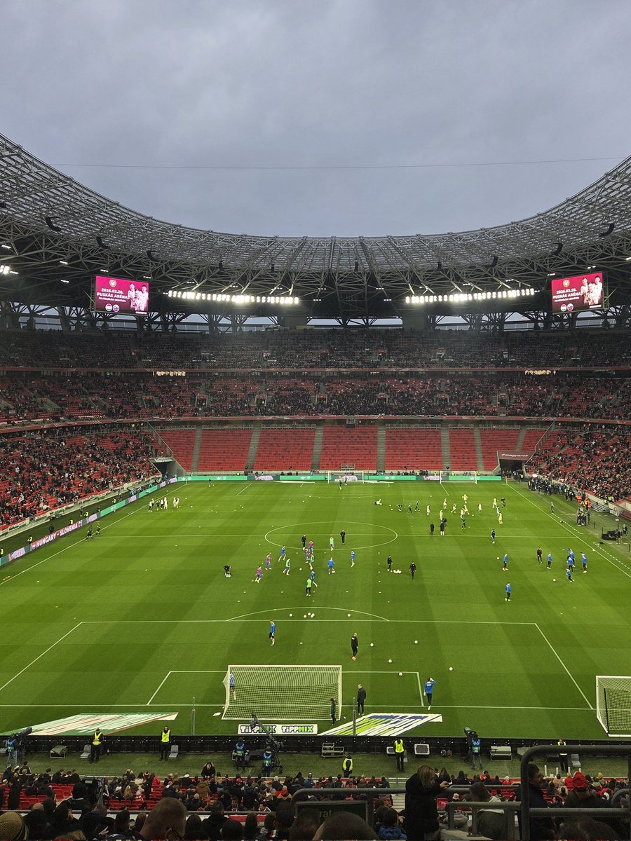 bence 🔅 tweet media