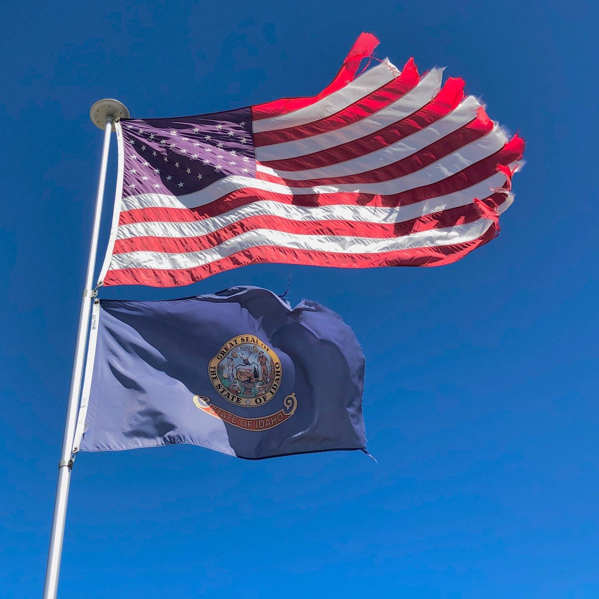 République tweet media