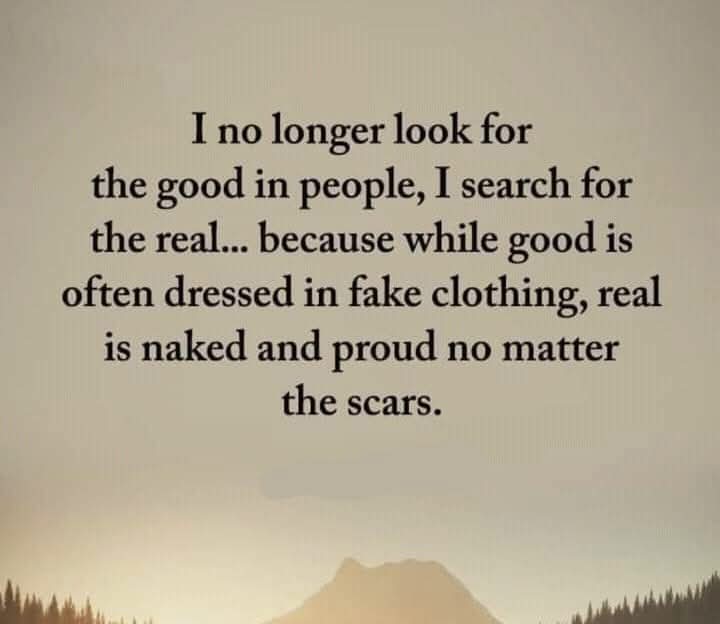 Colleen Pyle tweet media