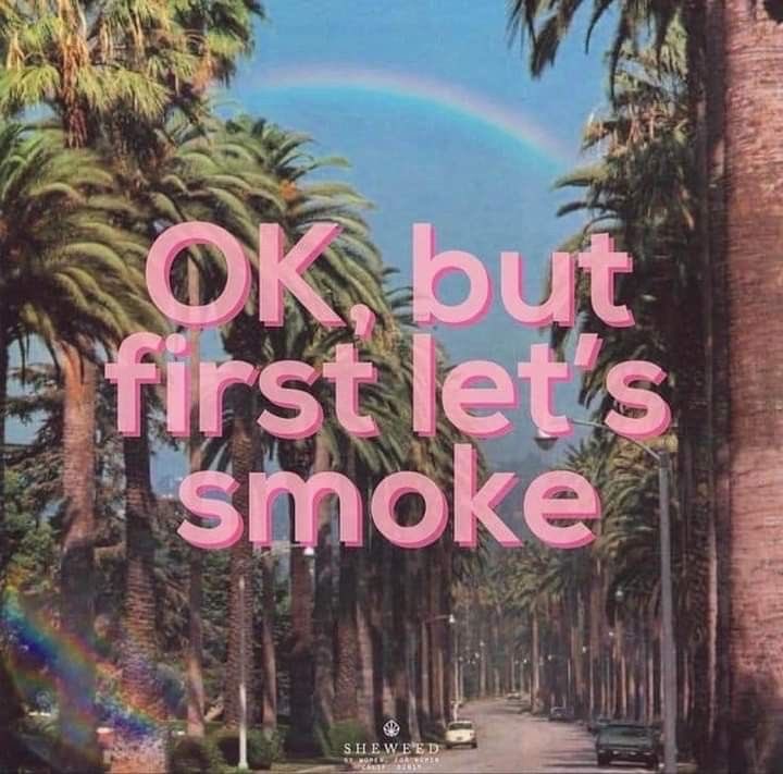 Brian Holler ✨🌏🤔 tweet media