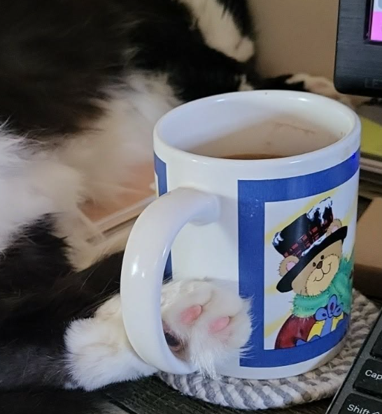 MissStorm64's tweet photo. Well, now I can't drink my coffee... #Caturday https://t.co/7eyB8Eme6v