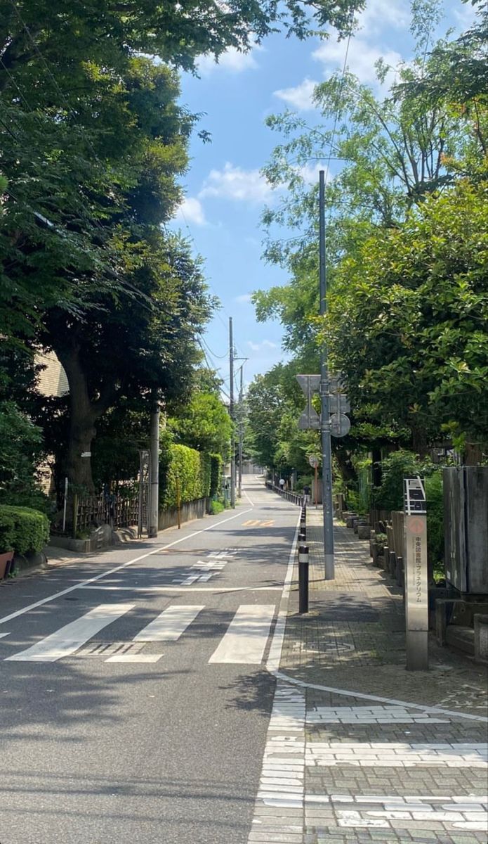 Natursee's tweet image. Some of  greenery and beauty of Kyoto..

Japan 🇯🇵