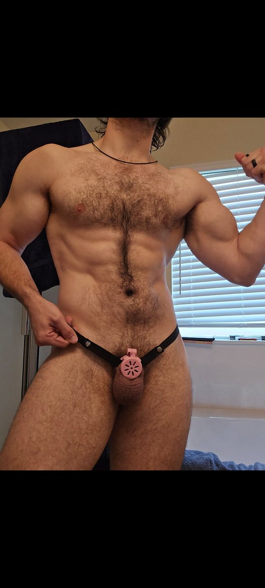 Straight Guy tweet media