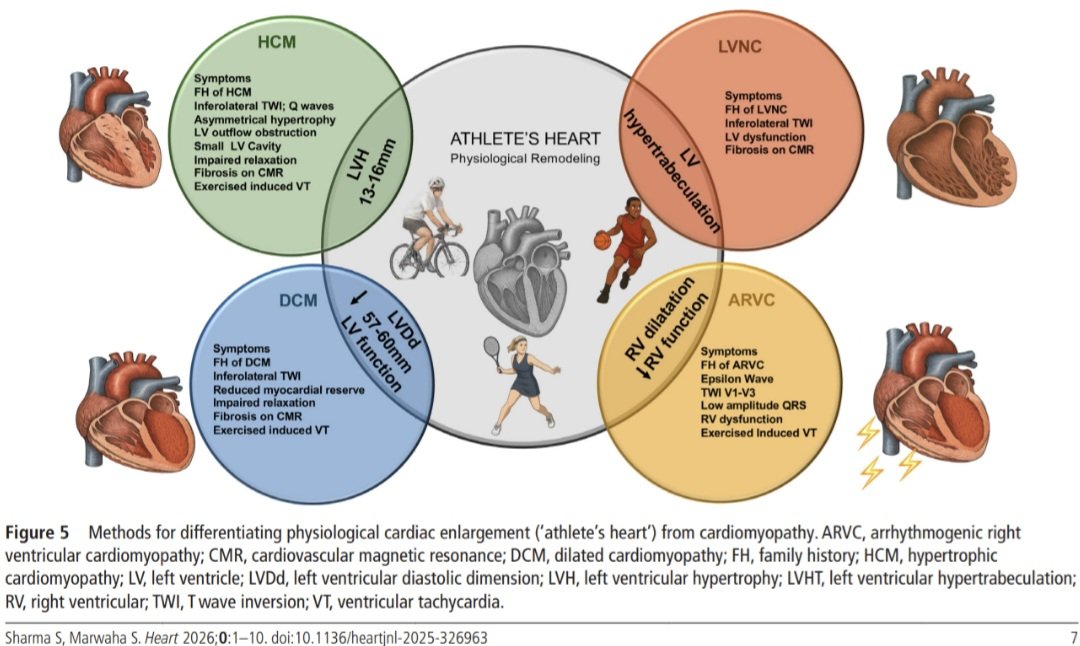 Dr. FEVI🫀🩺 tweet media