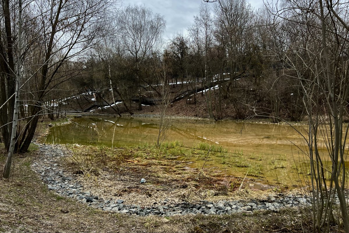 überkotik tweet media