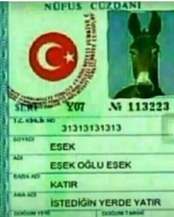 ceycey🍥 tweet media