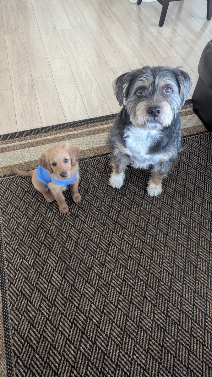 Erick Ayson⚡ tweet media