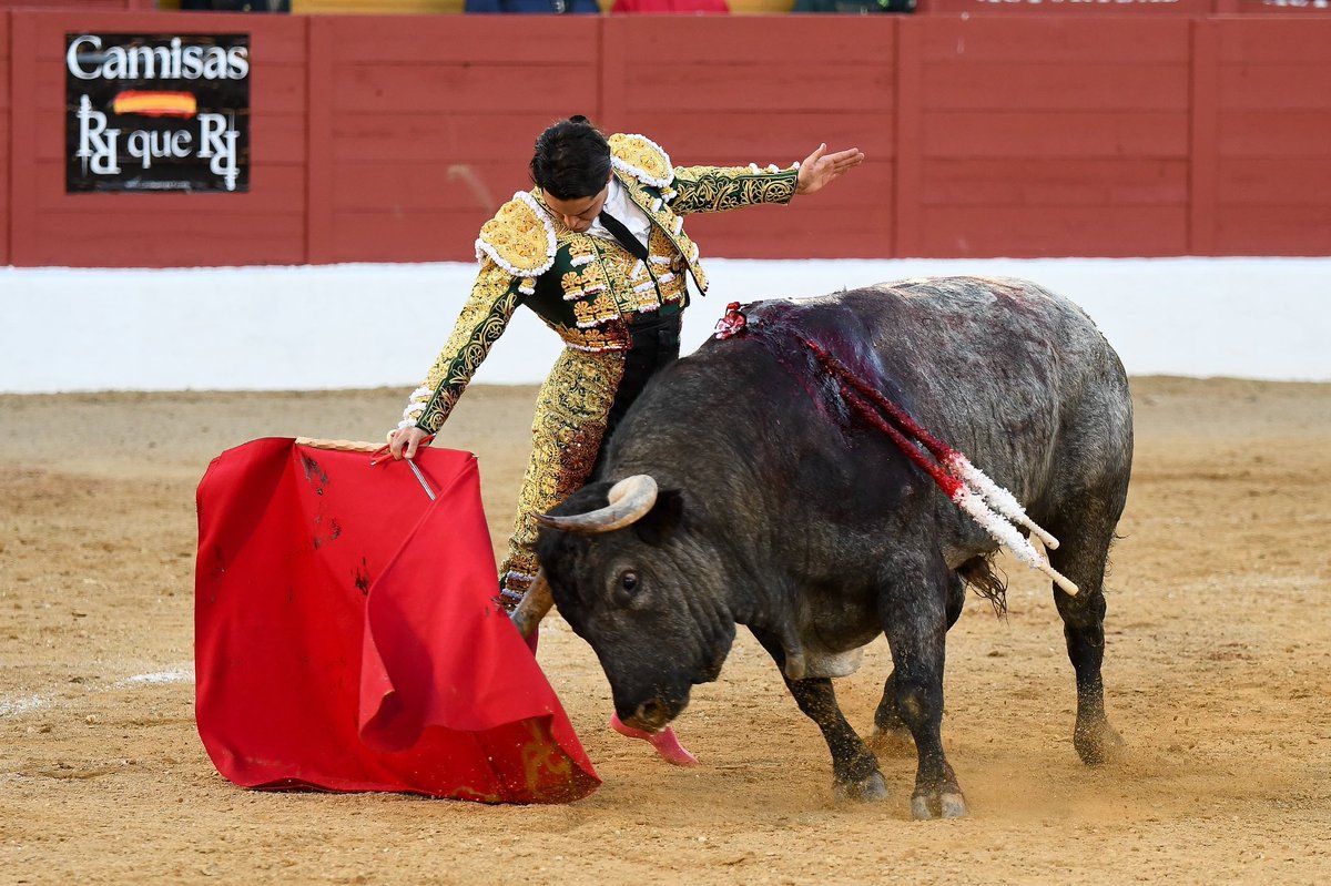 NTR Toros tweet media