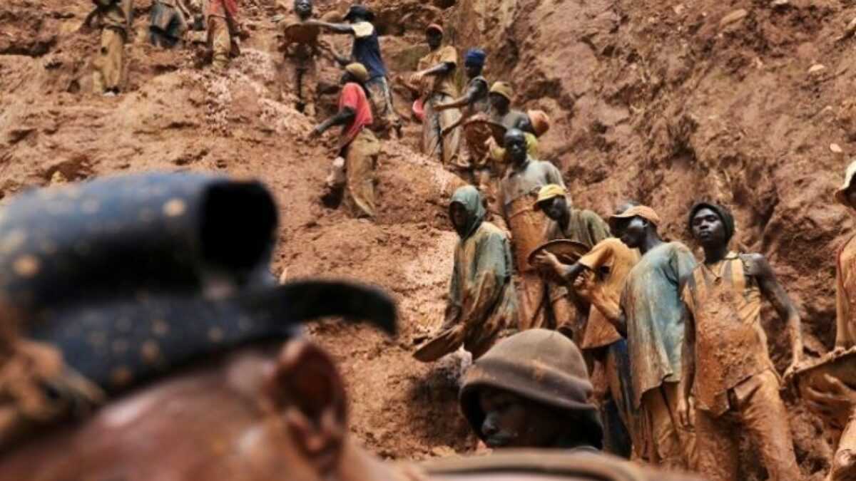 Flo 𝍎𝌆 마다가스카르 🐢 tweet media