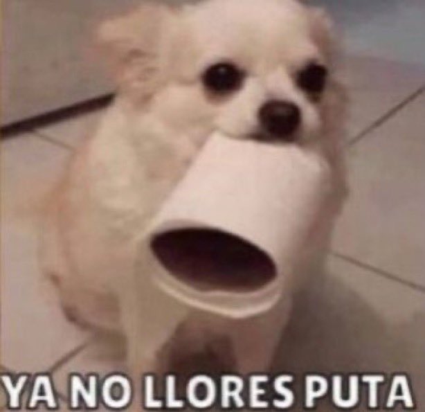 TORVIC47 tweet media