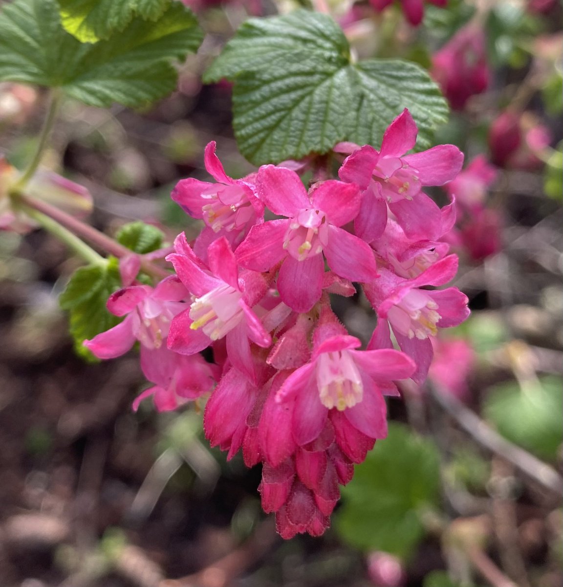 Lynn🇨🇦 tweet media