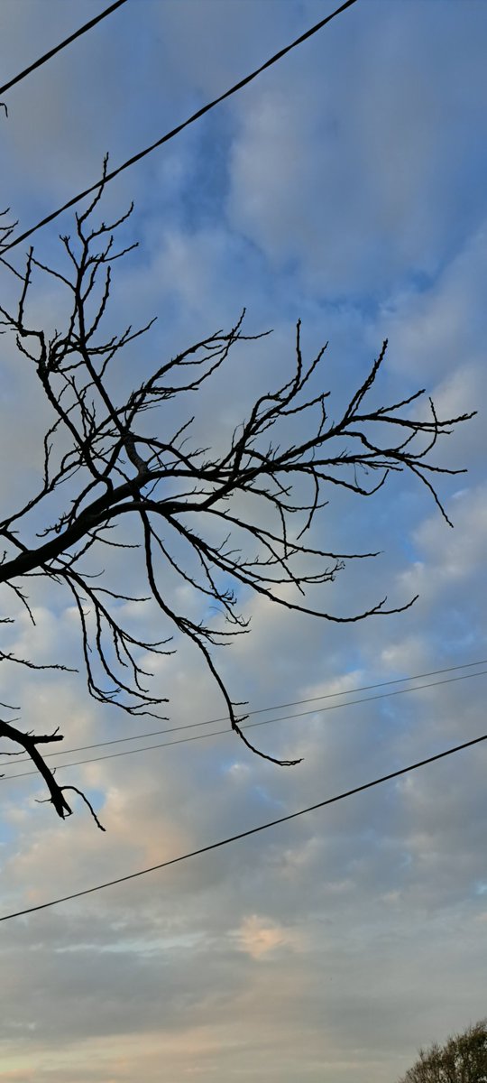 Mohammad tweet media