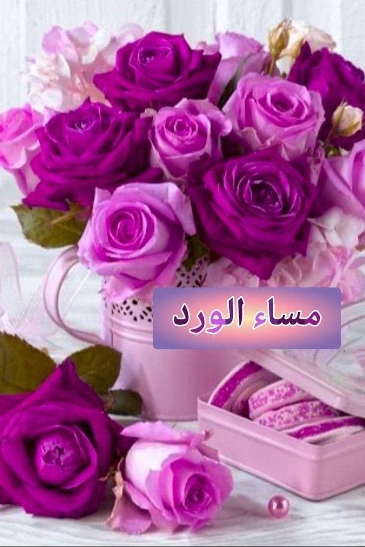 Ahlam Altorboshy A tweet media