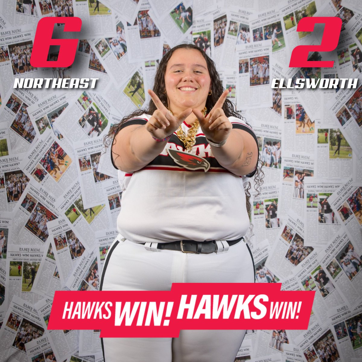 Northeast Softball tweet media