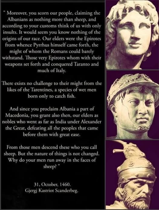 Alex Velaj tweet media