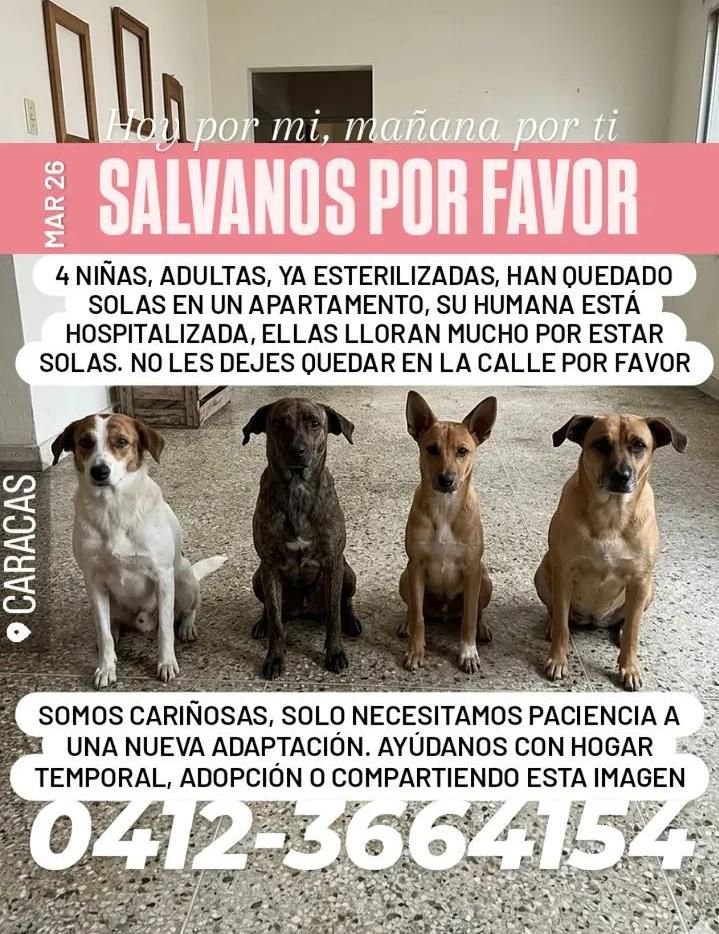 GRACE🇻🇪🆓 tweet media