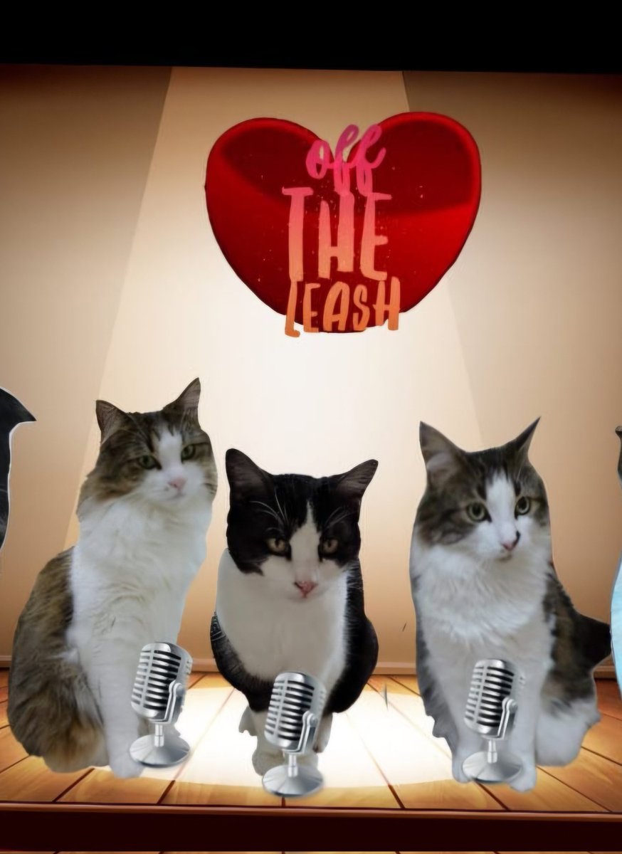 Pixie Tooth 🌈💔 tweet media