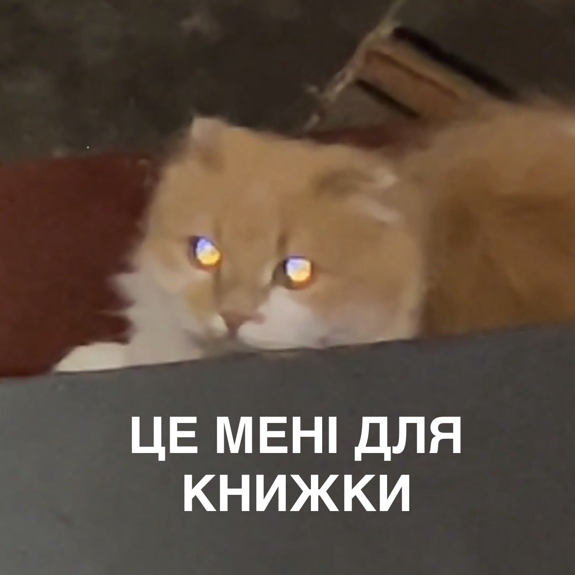 смажена картопелька🇺🇦 tweet media