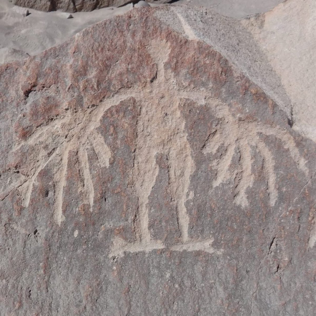 Ediciones Región. tweet media