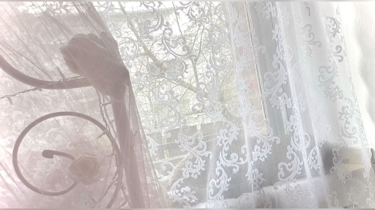 Stellnyang 𝜗𝜚 tweet media