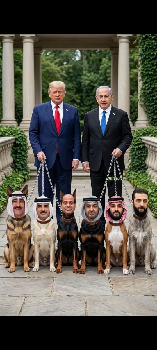 miZgin tuRaBi tweet media