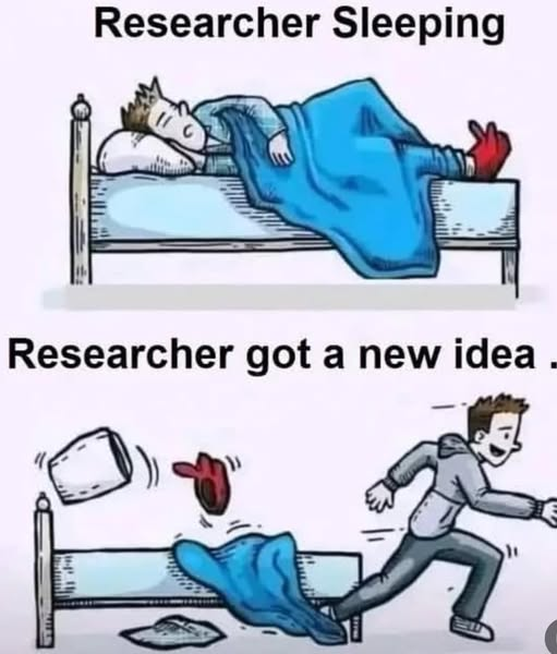 Scholarship for PhD tweet media